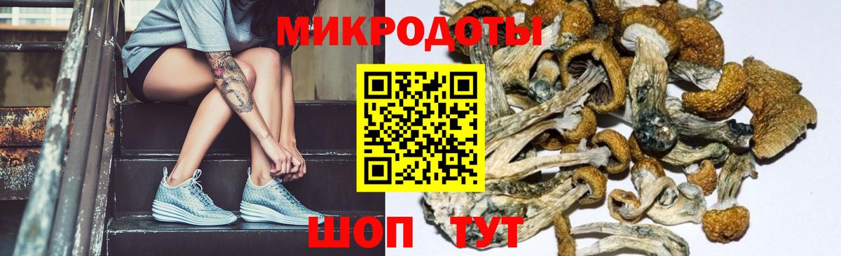Лесной  даркнет сайт  Галлюциногенные грибы Magic Shrooms  Вход с VPN  Галлюциногенные грибы GOLDEN TEACHER 